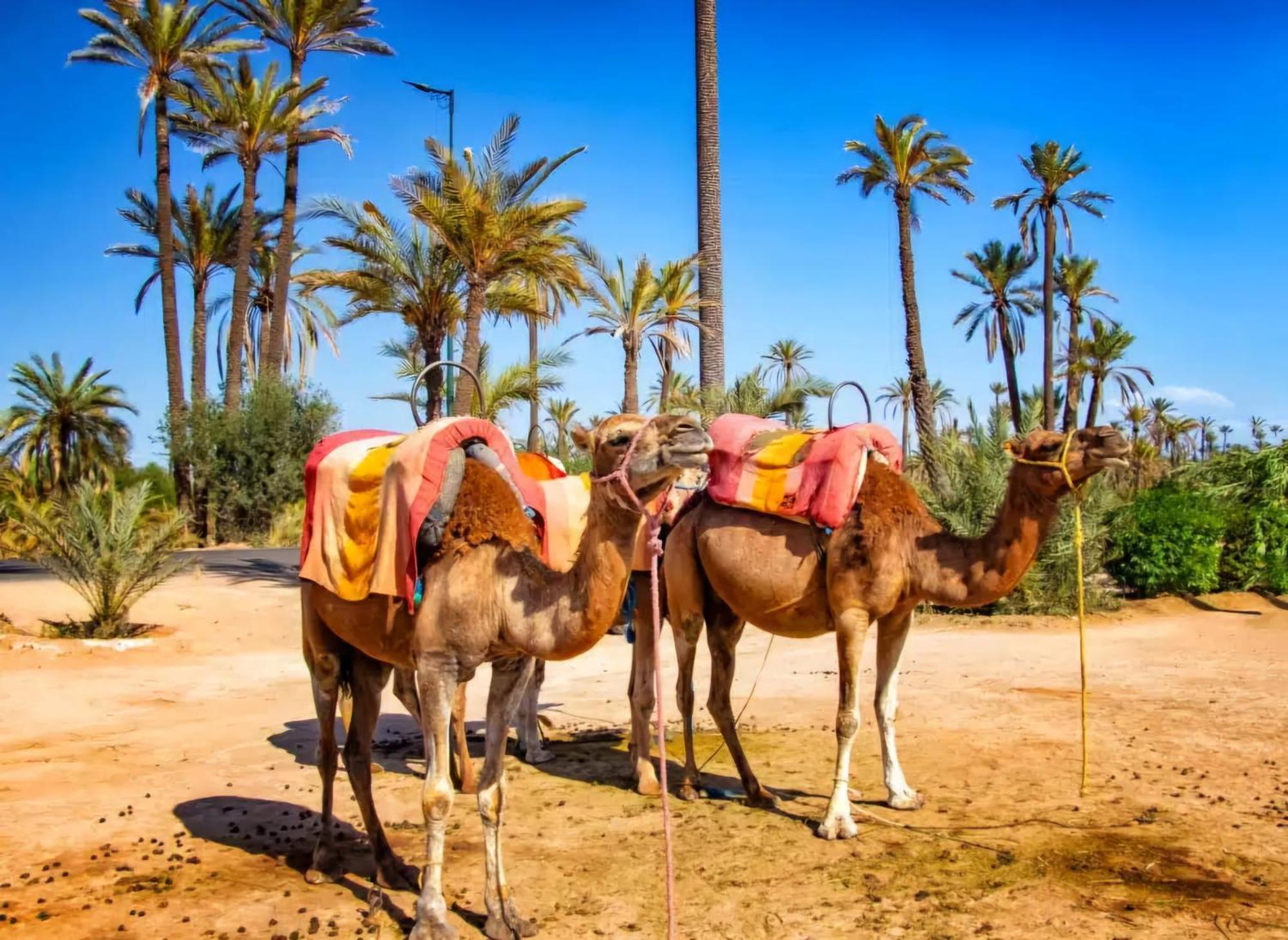 La Perle De L'Atlas By Golf Resort Marrakesh Bagian luar foto
